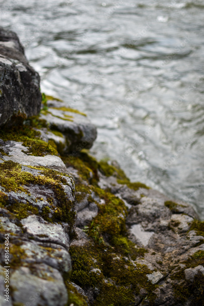 Moss covered rocks along the Youghiogheny River in Ohiopyle, Pennsylvania