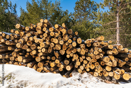 stack of logs  with snow