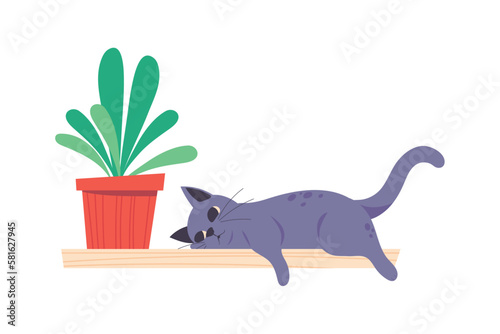 cat with houseplant