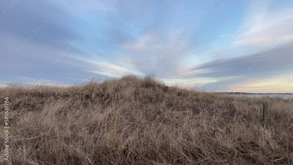 Chatham, Cape Cod Beach Grass Rustling in the Breeze at Dusk Chatham, Cape Cod Beach Grass Rustling in the Breeze at Dusk