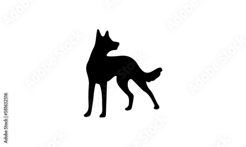 silhouette of a dog