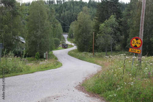 road in the forest