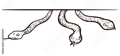 Three snakes emerging from the top in hand drawn style, Vector illustration