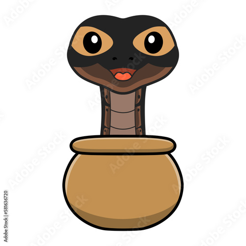 Cute ghi mojave ball python cartoon inside the sack