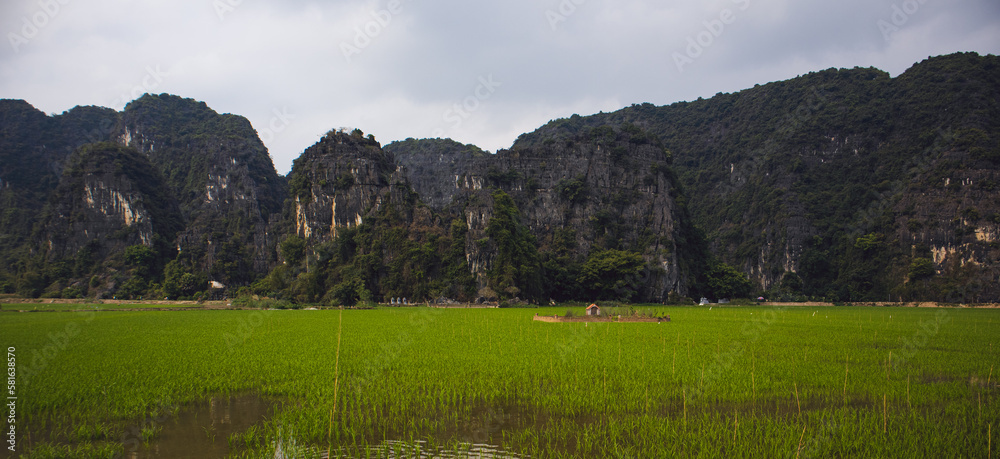Vietnamese landscape with mountains in backdrop and rice fields in front, beautiful scenery.