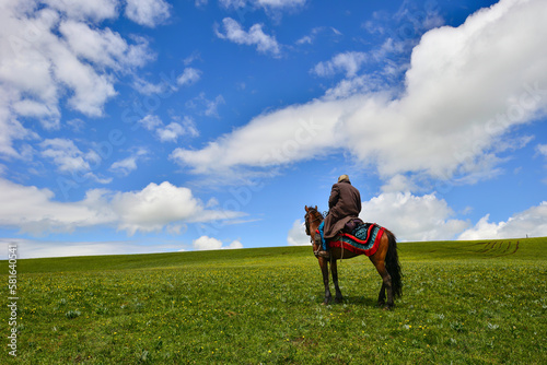 The horses on the Kalajun prairie in Xinjiang . © Yungtao Chang