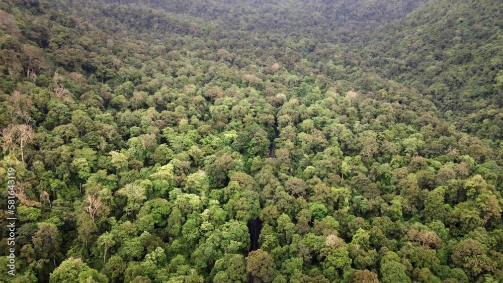 Aerial view of road hidden in green jungle forest in Sumbawa Island, Indonesia. The transportation road across mountain rain forest. Shot from drone 4k Aerial view of road hidden in green jungle forest in Sumbawa Island, Indonesia. The transportation road across mountain rain forest. Shot from drone 4k