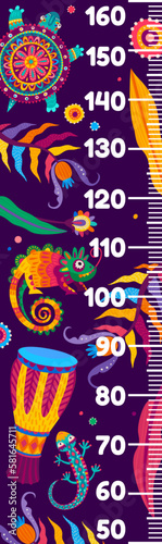 Kids height chart, Brazilian drum, Mexican chameleon, turtle and lizard, vector growth meter. Baby tall measure ruler or height chart with tropical jungle birds, animals, flowers and Brazilian drums