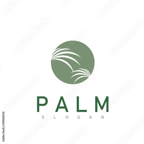 Luxury Palm Logo Template Vector