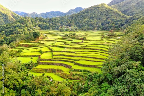 Obraz na plátně Panorama drone shot over the rice terraces of Banaue in the Philippines, surrounded by green hills covered with trees