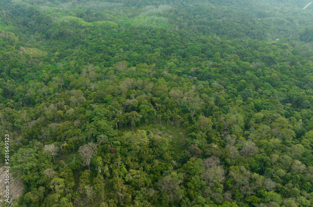 aerial view of dark green forest Abundant natural ecosystems of rainforest. Concept of nature forest preservation and reforestation. aerial view of dark green forest Abundant natural ecosystems of rainforest. Concept of nature forest preservation and reforestation.