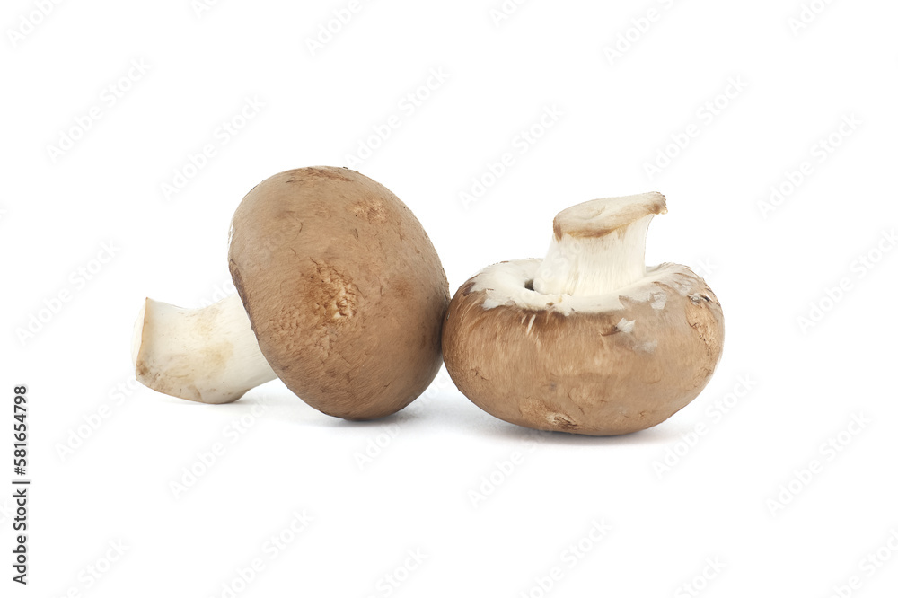 Baby portobellos mushrooms isolated on white