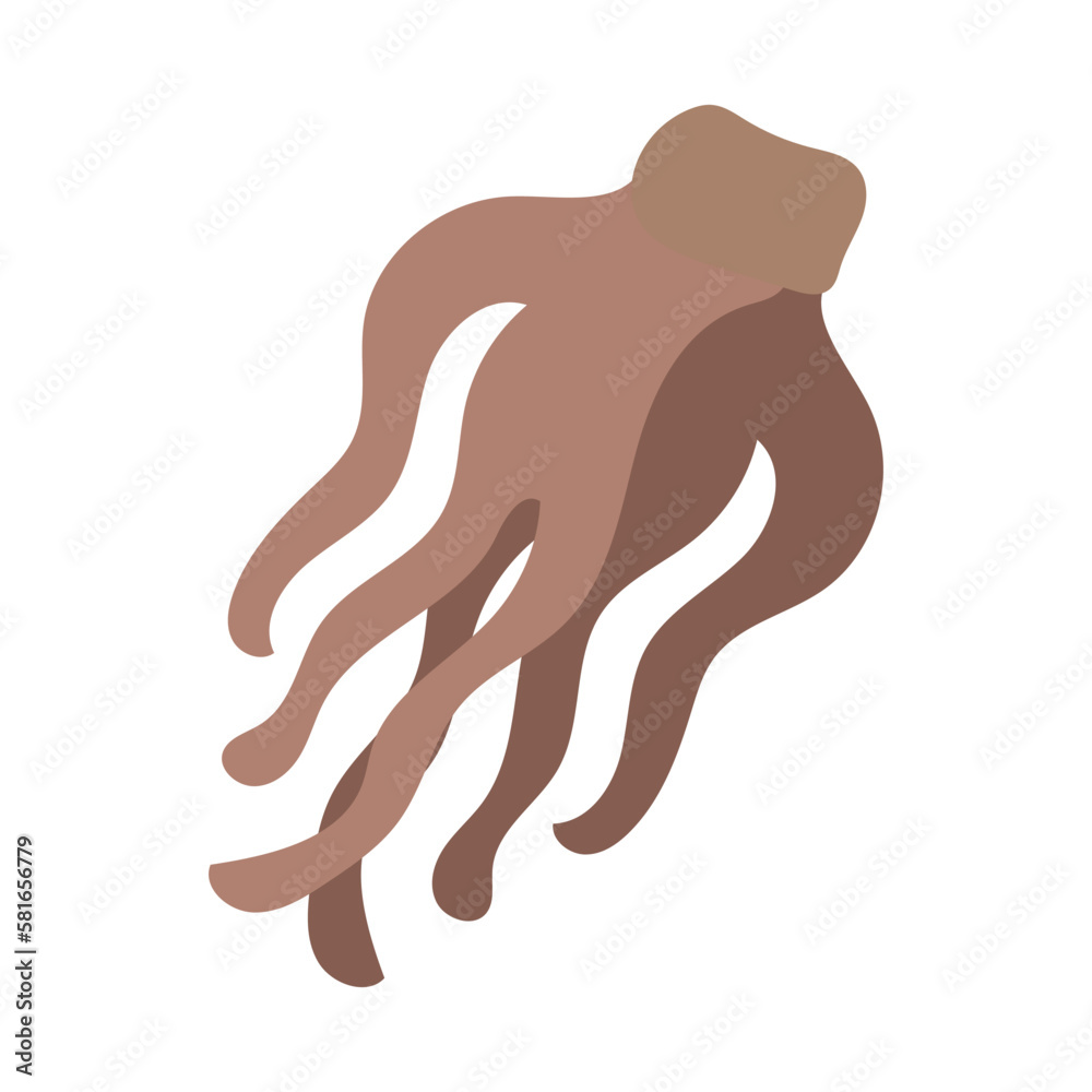 当帰(カラトウキ)。フラットなベクターイラスト。
Dong quai. Flat designed vector illustration. 当帰(カラトウキ)。フラットなベクターイラスト。
Dong quai. Flat designed vector illustration.