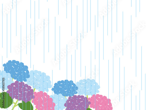 あじさい、雨B2-6