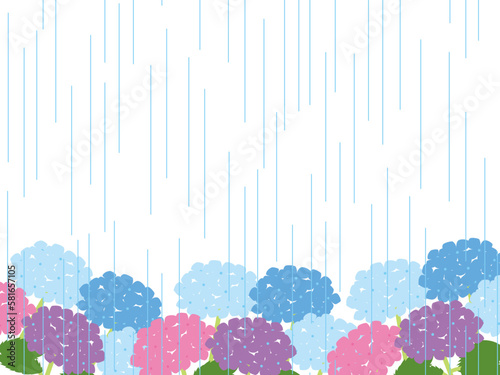 あじさい、雨B2-4