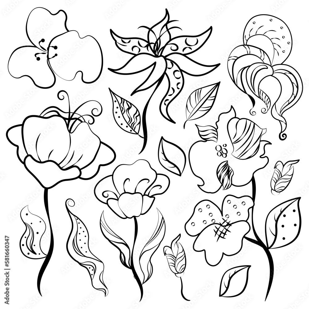 Set of hand drawn doodle flowers and leaves. Set of hand drawn doodle flowers and leaves.