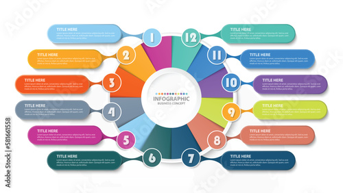 Basic circle infographic with 12 steps, process or options.