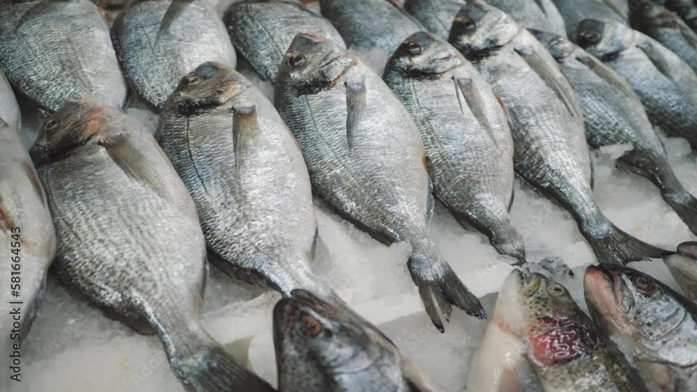 Fresh fish on counter in store or supermarket. Seafood natural products. Fresh fish on counter in store or supermarket. Seafood natural products.