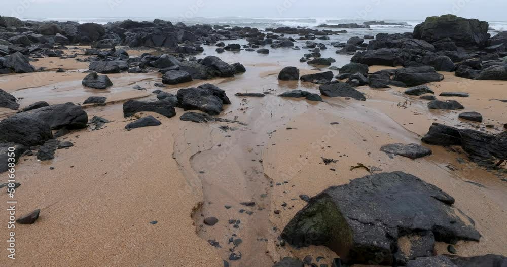 Views of Ytri Tunga beach on the Snaesfellnes Peninsula south west Iceland 