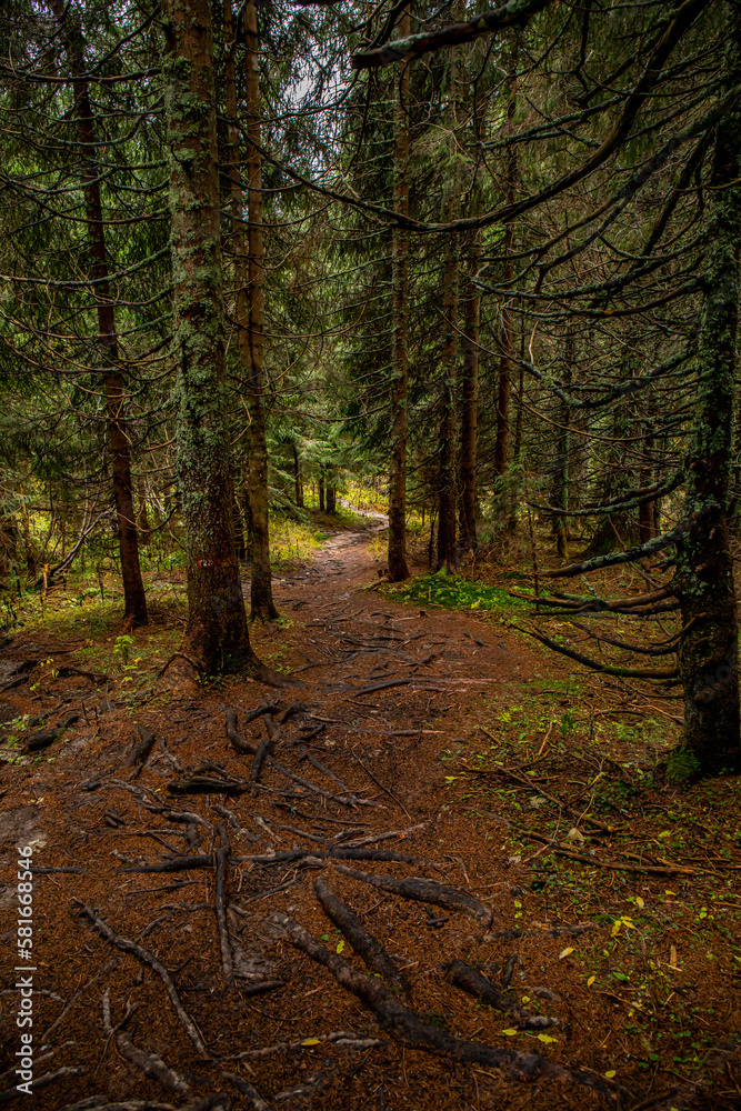 Mountain path in high mountains	