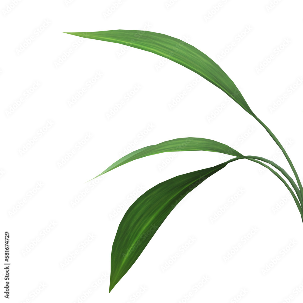 Naklejka premium Green leaves frame on transparent background, 3d render illustration.