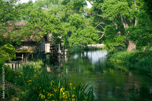 菖蒲と水車小屋