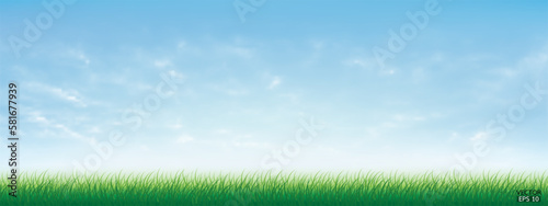 Fresh spring green grass under beautiful blue sky. Nature background with green grass and blue sky. Vector illustration.