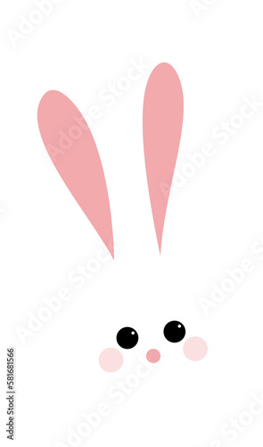 Cute rabbit