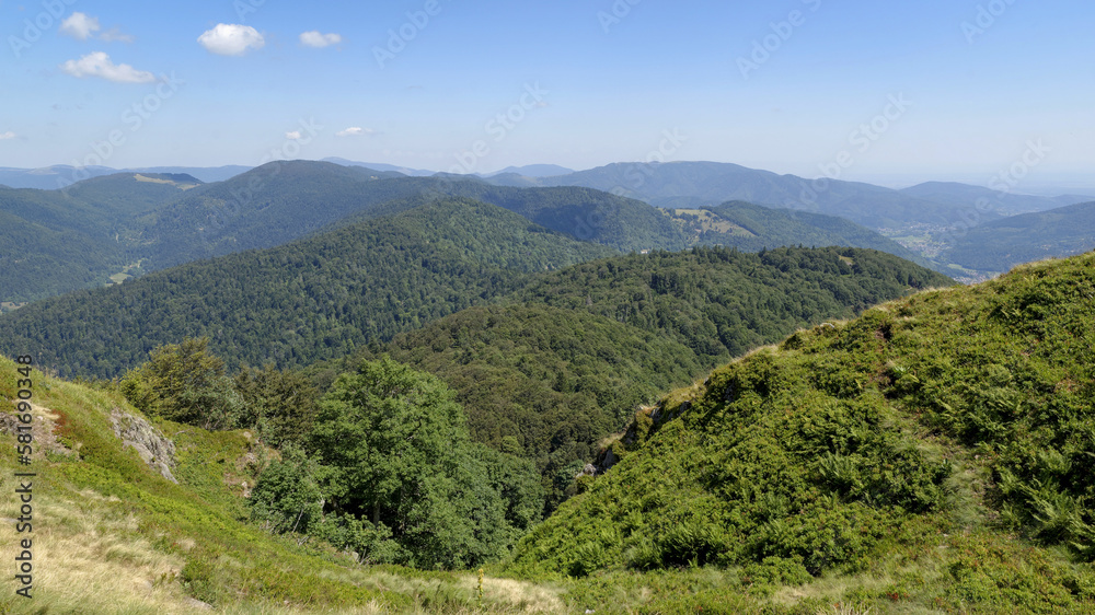 Fototapeta premium Paysage estival dans le massif des Vosges