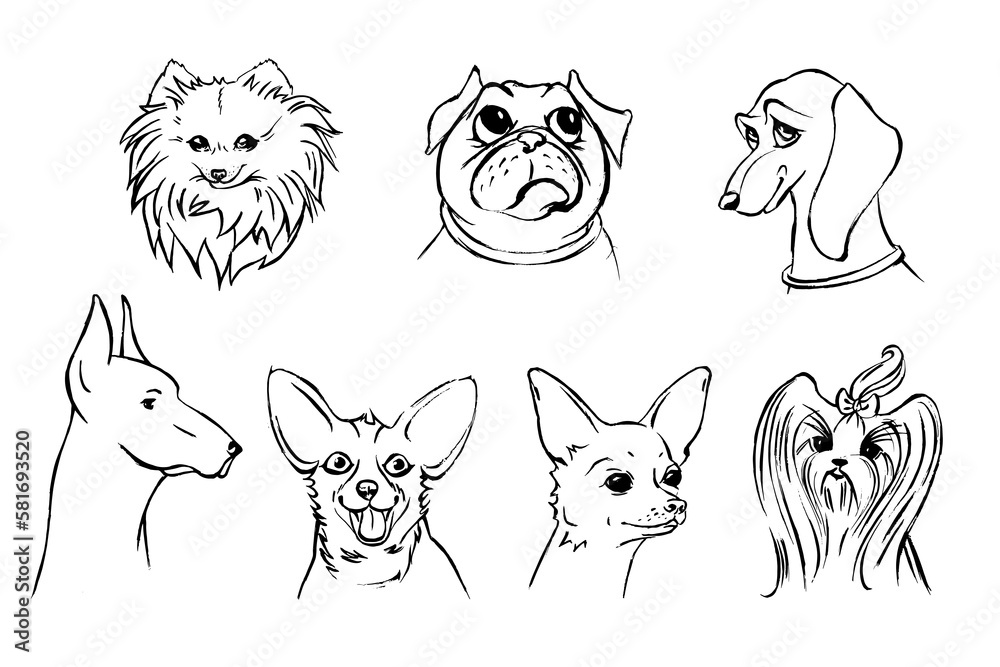 Obraz premium A set of dog faces. Muzzles of different breeds of dogs. Graphic drawing with a line, drawing by hand.