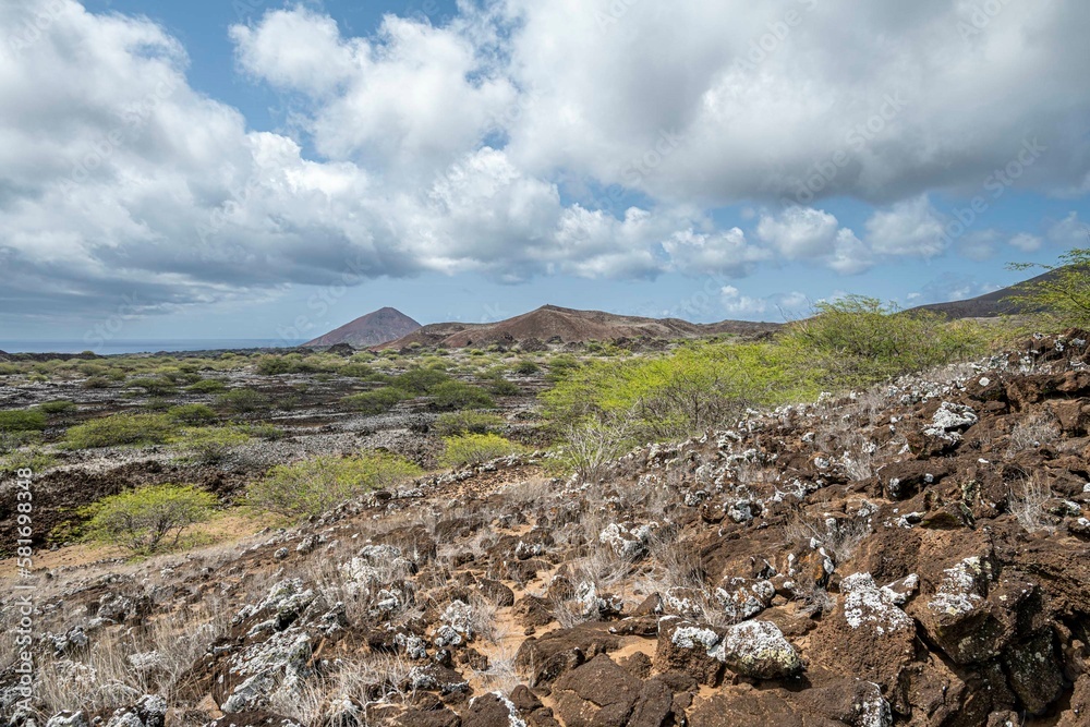 Volcanic countryside with stones, sand and bushes, The Ascension island