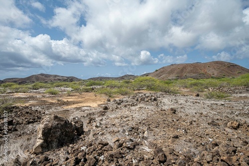 Volcanic countryside with stones  sand and bushes  The Ascension island