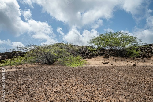 Volcanic countryside with stones  sand and bushes  The Ascension island