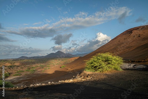 Foto Volcanic countryside with stones, sand and bushes, The Ascension island