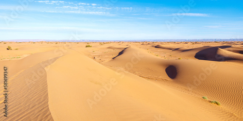 sand dune in the Sahara- Morocco