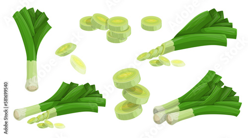 Leek set. Whole and chopped vegetables. Farm fresh  veggies collection. Vector illustrations.