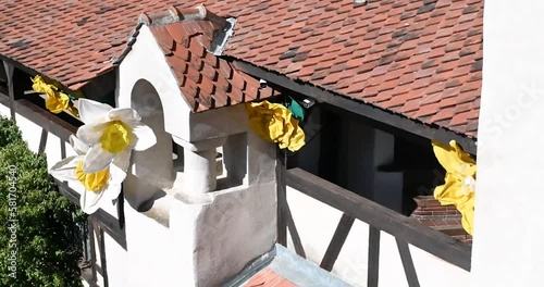 Spring slowers within the Bran Castle (Castelul Bran), Romania, Europe photo