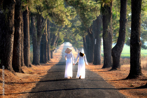 Two girls in traditional dress is walking on the road with two rows of pine trees which were planted nearly 100 years at Pleiku Town, Gia Lai Province, Vietnam