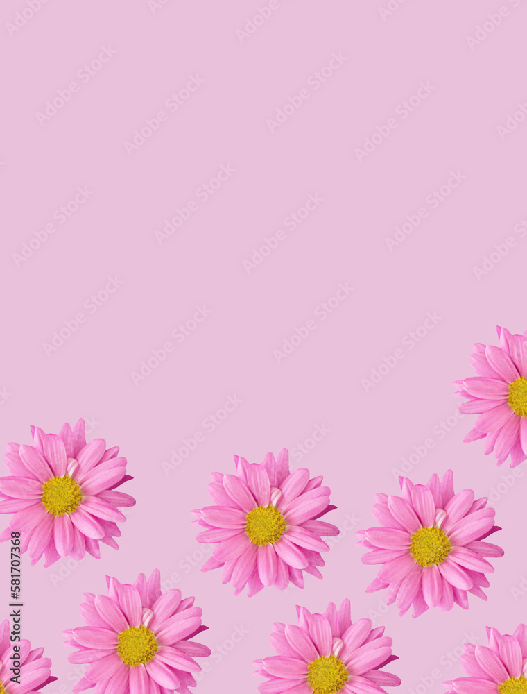 Creative fresh floral pattern made of pink flowers with copy space for text or quote. Flat lay. Pastel pink background.
