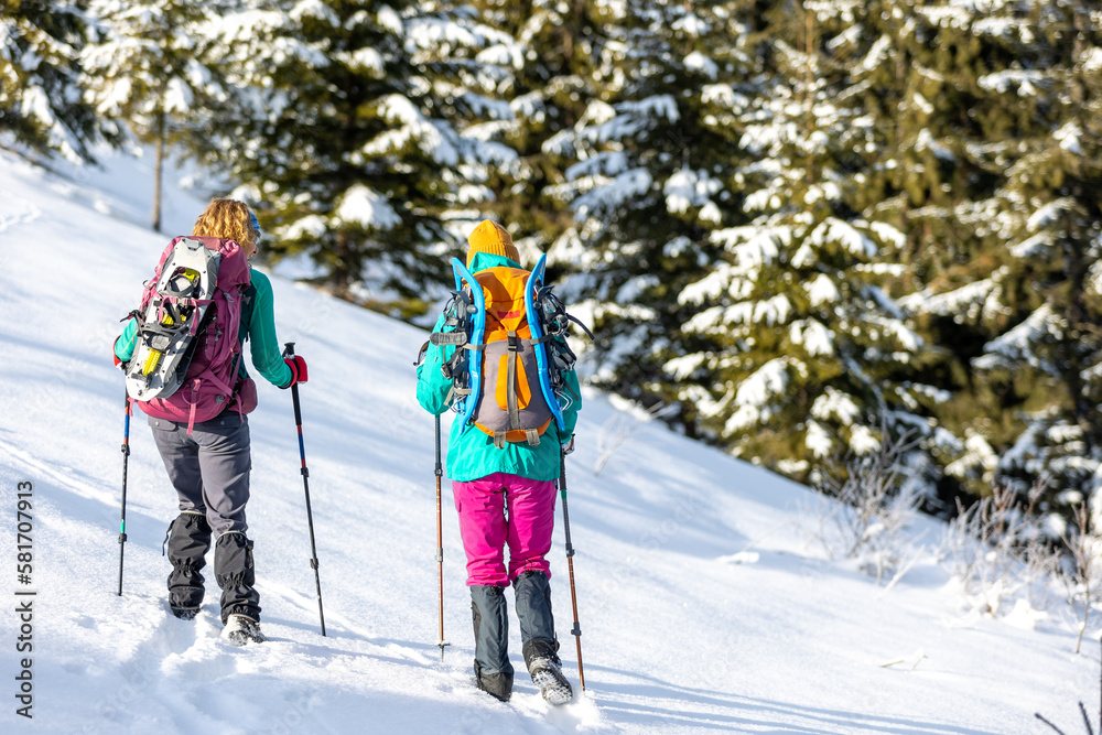 Travelers travel together through beautiful nature in winter. two girls walk through the woods in winter.