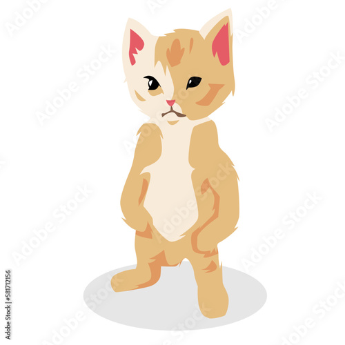 funny kitten standing with angry expression. cartoon illustration. concept of pet  cat  cute  animal.