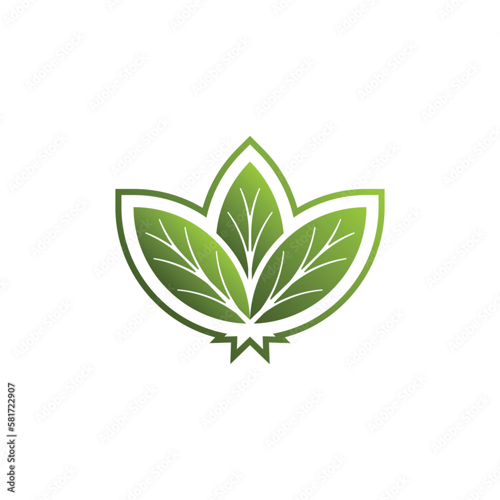 discovery wellness logo, wellness logo, plus sign and leaf elements discovery wellness logo, wellness logo, plus sign and leaf elements
