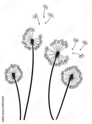 Dandelion wind blow background. Black silhouette with flying dandelion buds on white. Abstract flying seeds. Decorative graphics for printing. Floral scene design