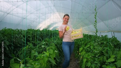 Organic greenhouse business. Farmer is standing with bucket of freshly picked yellow pepper in his greenhouse. Slow motion video.