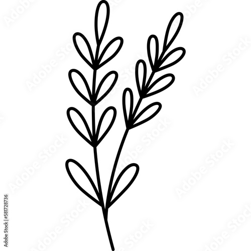 Plant Flower Outline Illustration