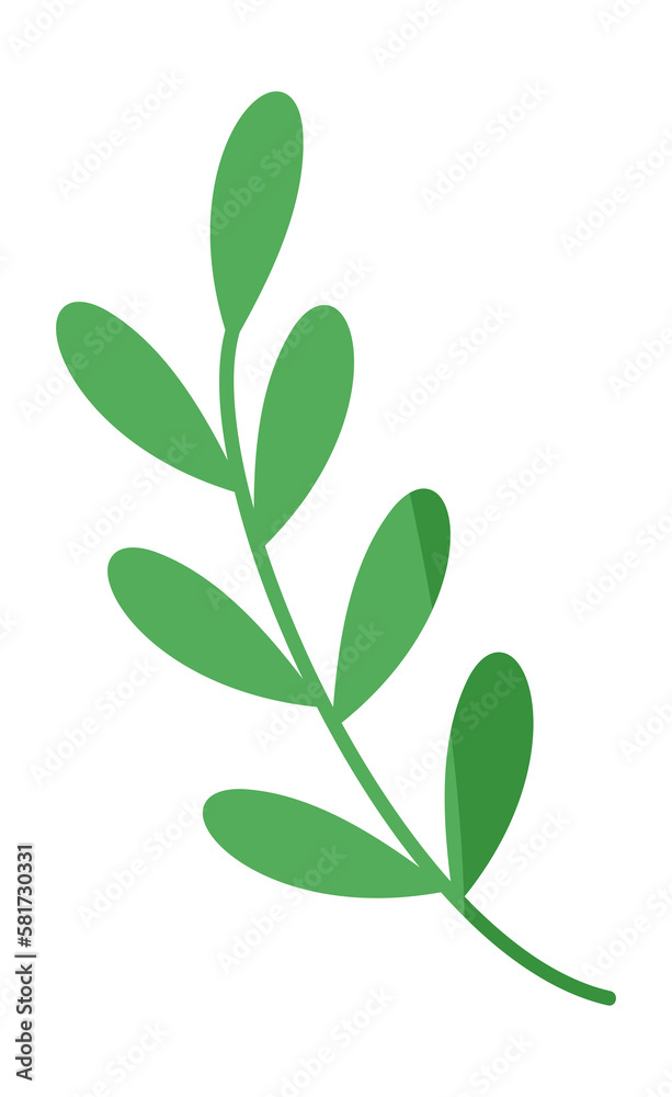 Botanical leaf branch