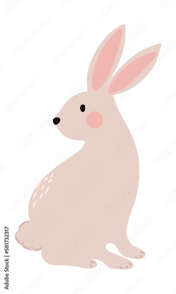 Fototapeta premium Cute rabbit