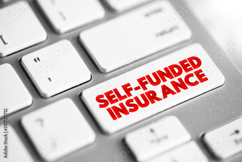 Tablou pe pânză Self Funded Insurance - type of plan in which an employer takes on most or all o