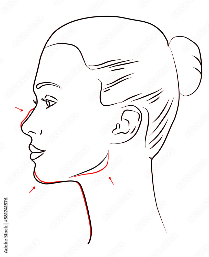 Woman profile. Line drawing vector illustration Woman profile. Line drawing vector illustration