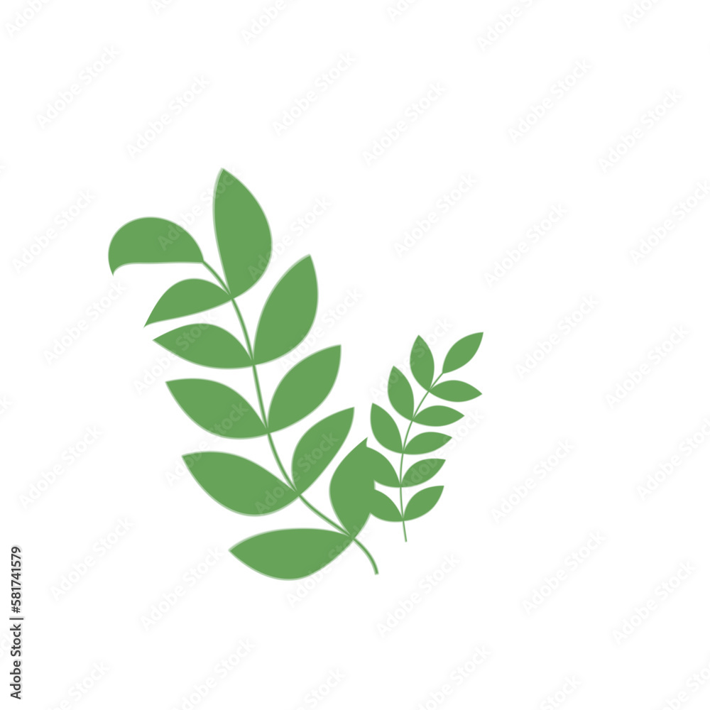 Fototapeta premium Green Leaf Illustration 